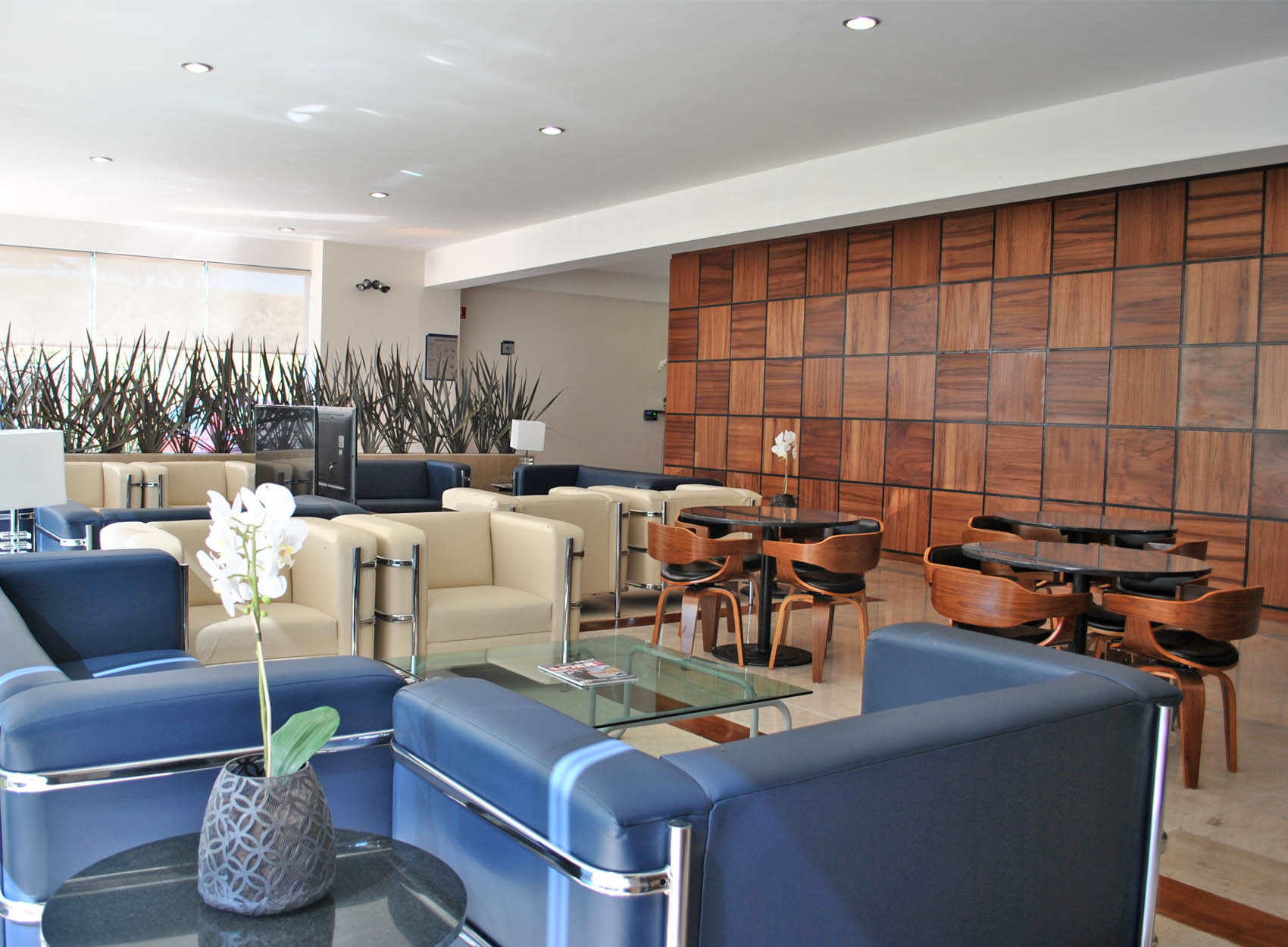 FBO Diamante Puebla — operator location image