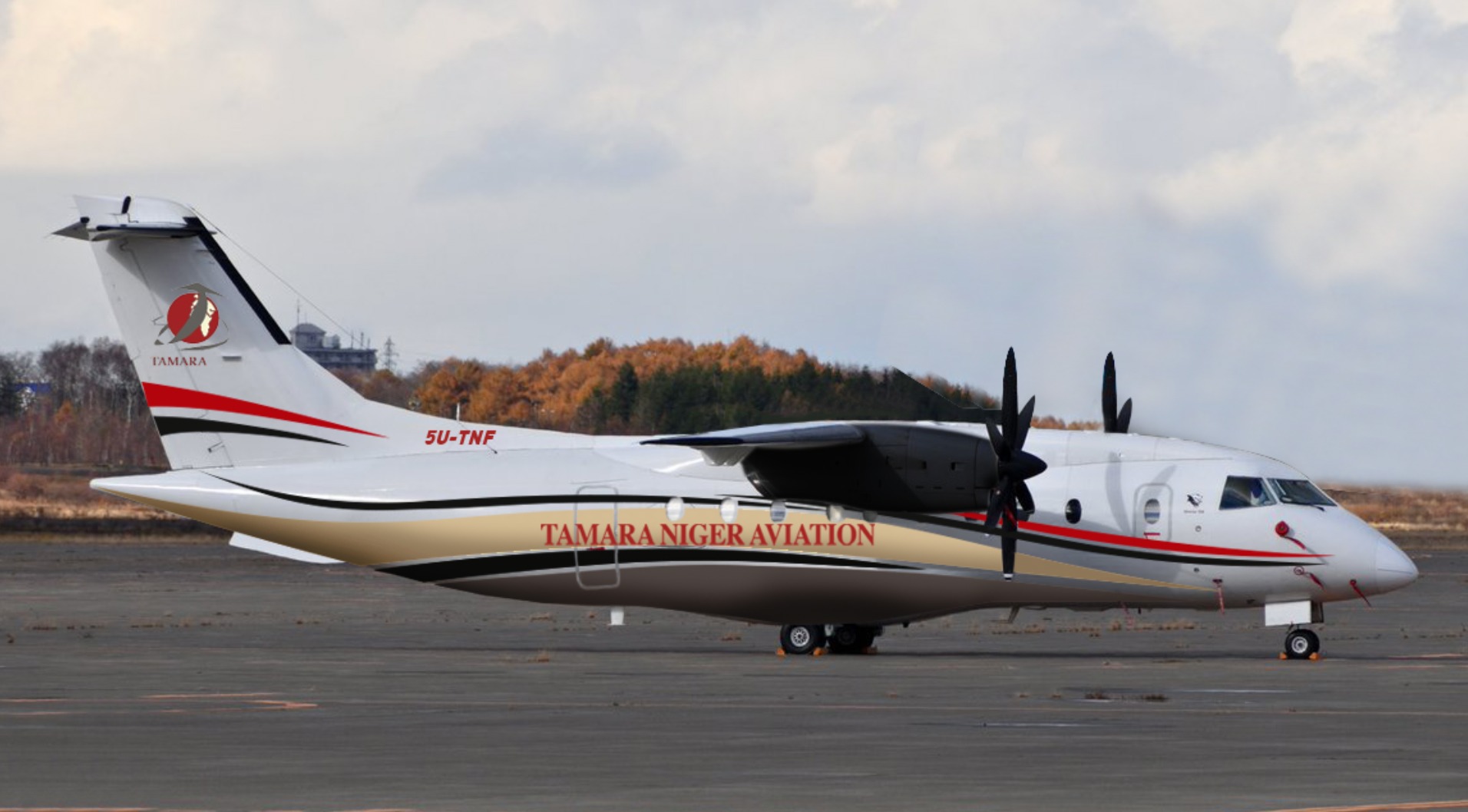 Partner aircraft Dornier 328.