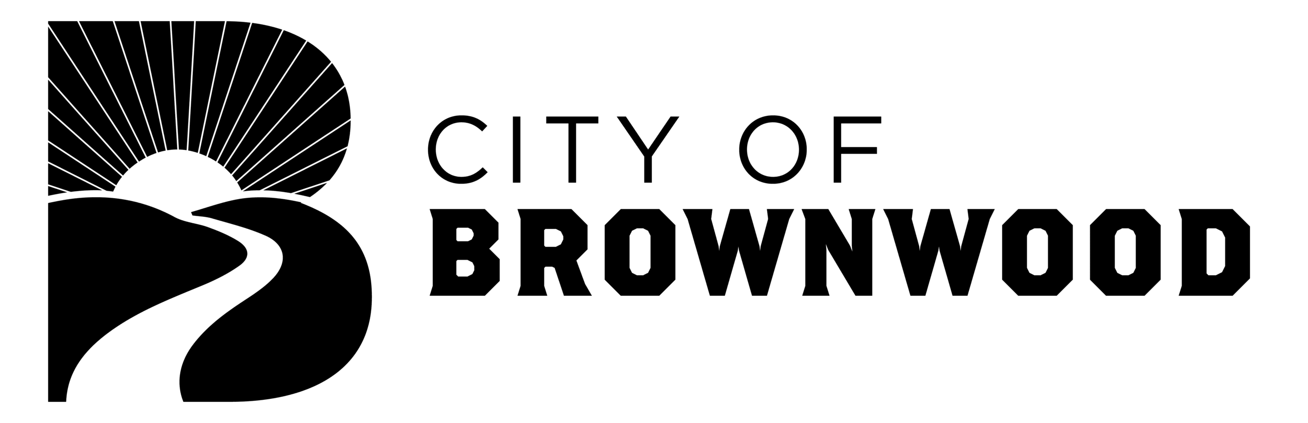 Brownwood Regional Airport logo