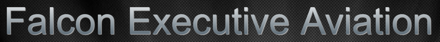 Falcon Executive Aviation, Inc. logo