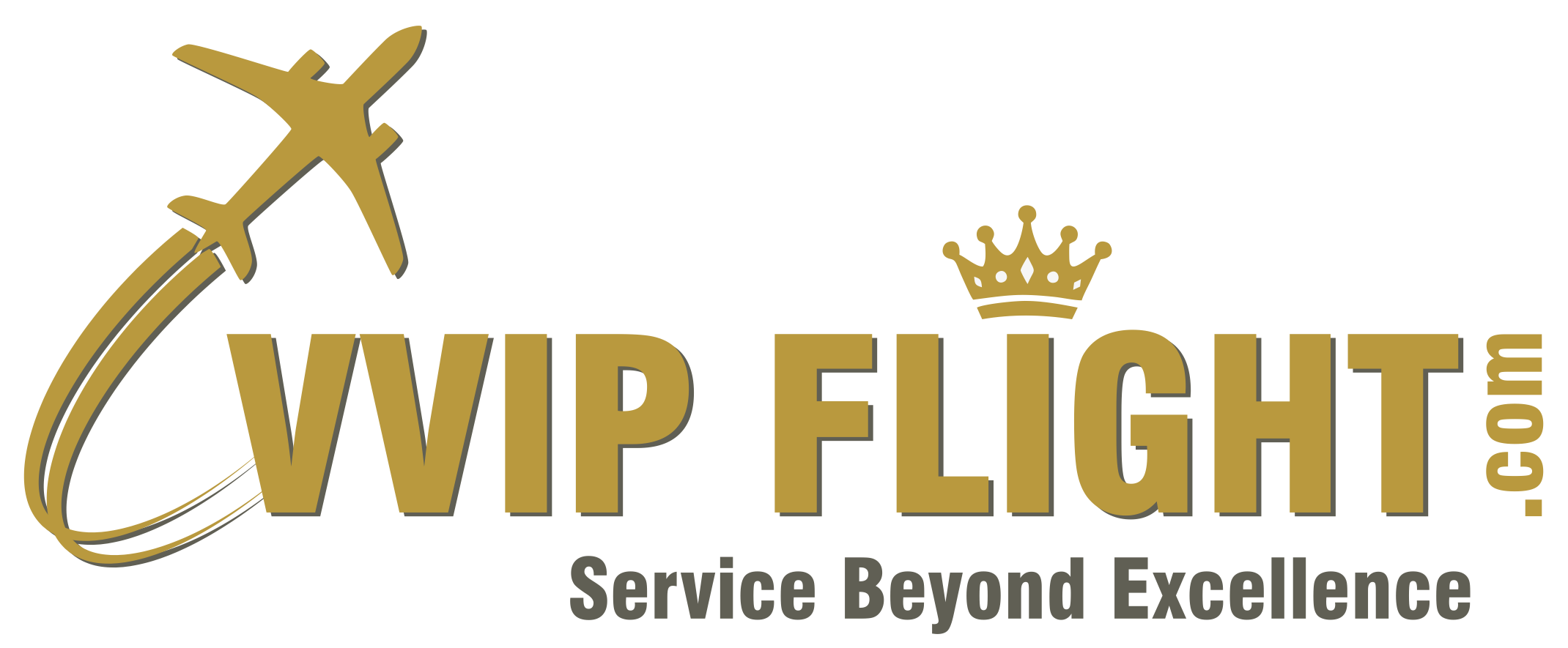 VVIP Flight logo