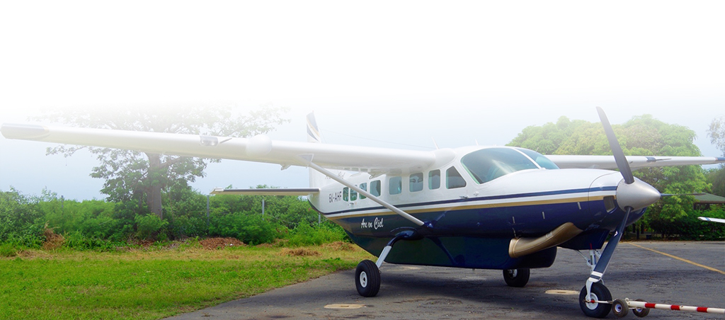 Partner aircraft Cessna 208B Grand Caravan.