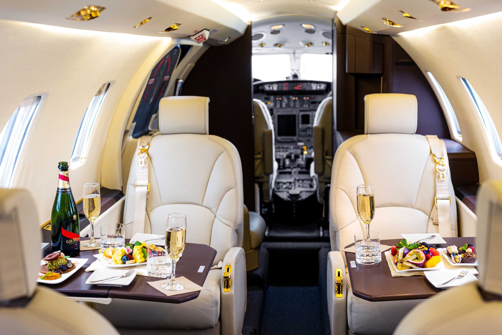 Cessna Citation XLS