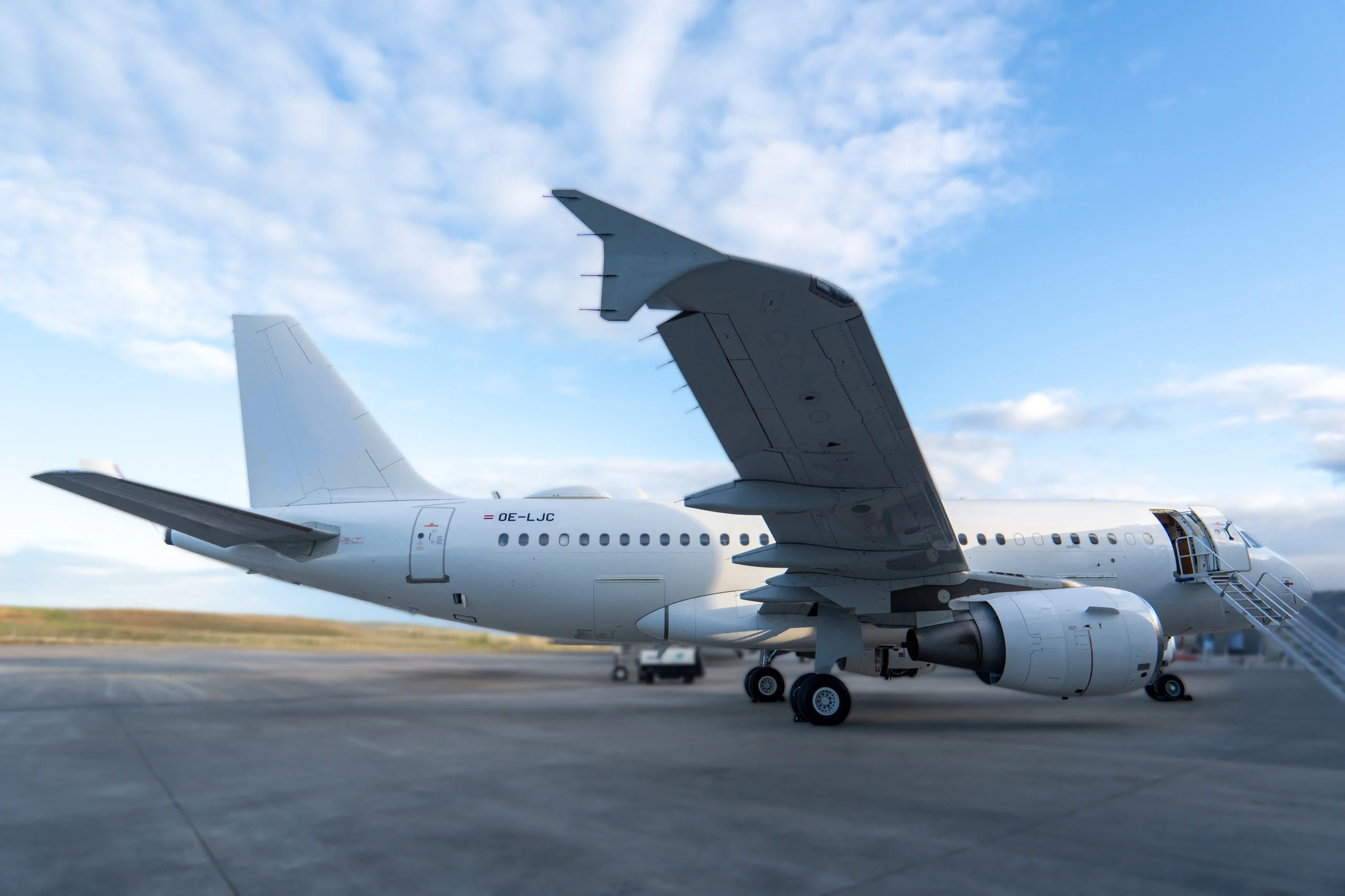 Partner aircraft Airbus ACJ319.