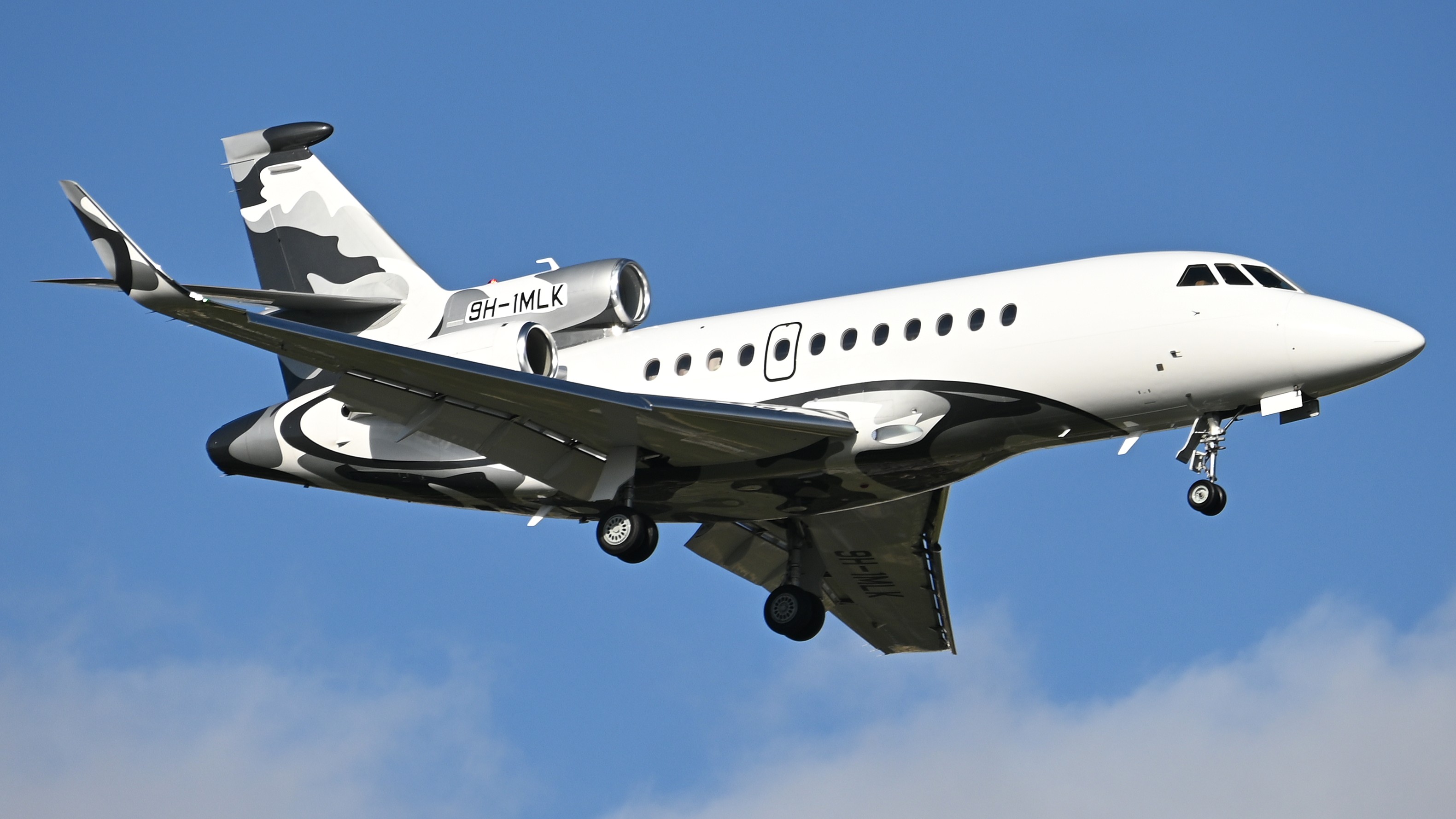 You are currently viewing Falcon 900DX