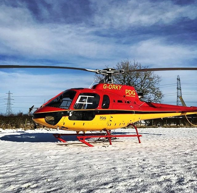 26331148_146598229465377_37461