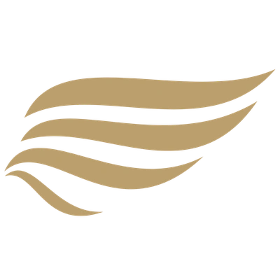 company image